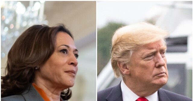 Kamala Harris Agrees to Debate Donald Trump: ‘I’m Ready’