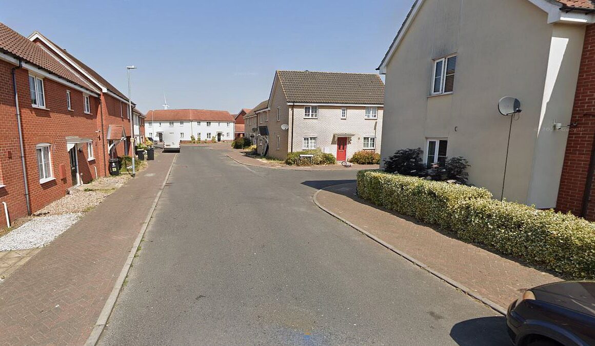 Young girl suffers serious facial injuries after being attacked by a dog in residential street