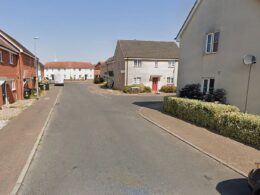 Young girl suffers serious facial injuries after being attacked by a dog in residential street