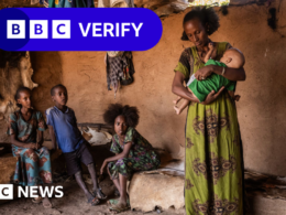 Satellite images and doctor testimony reveal Tigray hunger crisis