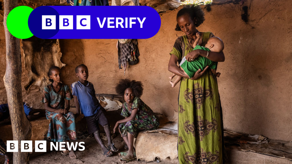 Satellite images and doctor testimony reveal Tigray hunger crisis