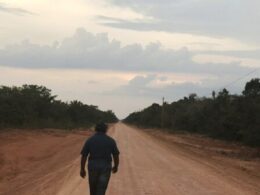 Citing climate change, a federal court in Brazil halts rainforest highway paving