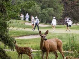 Lauren Coughlin leads LPGA Tour’s CPKC Women’s Open in chilly Calgary