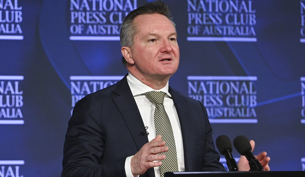 Chris Bowen launches savage attack on Andrew Bolt after he made candid comment about James and Lachlan Murdoch