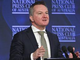 Chris Bowen launches savage attack on Andrew Bolt after he made candid comment about James and Lachlan Murdoch