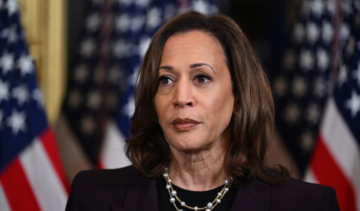 Kamala Harris Piles Pressure on Israel as DNC’s Showdown Over Gaza Looms