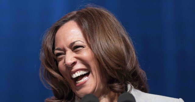 Blue State Blues: How to Defeat Kamala Harris