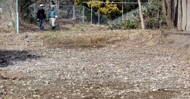 A mysterious pile of bones could hide evidence of Japanese war crimes, activists say