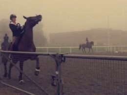 EXCLUSIVEHorse rider slams Charlotte Dujardin as she releases new video of Team GB star calling horse a ‘b****’ years before whipping animal like a ‘circus elephant’