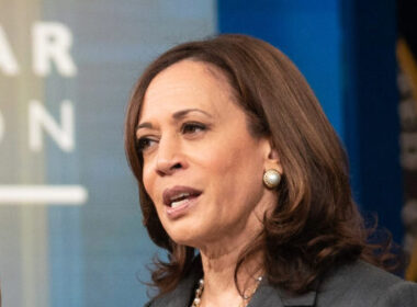 CNN’s, NYT’s Herndon: Harris Was ‘Trying to Appease’ the Left in 2020, But Now She’s Different