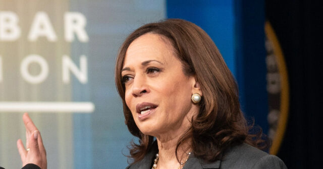 CNN’s, NYT’s Herndon: Harris Was ‘Trying to Appease’ the Left in 2020, But Now She’s Different