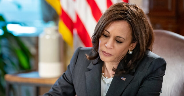 Catholic League: Kamala Harris Was Clearly a ‘DEI Hire’