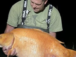 British angler catches the world’s biggest GOLDFISH (but who’s got a bowl big enough for this 61lb 4oz whopper?!)