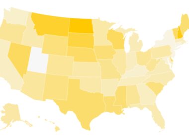 Map Shows Which States Drink the Most Beer