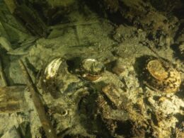 Sunken treasure: Is the champagne nestled in a 19th-century shipwreck still fit for a toast?