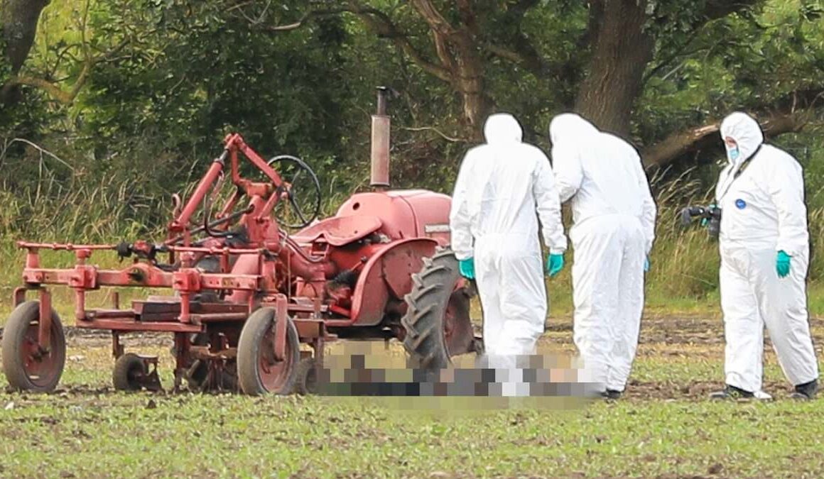 Man, 29, is arrested on suspicion of murdering farm worker, 75, found ‘gunned down’ in field in rural Lancashire