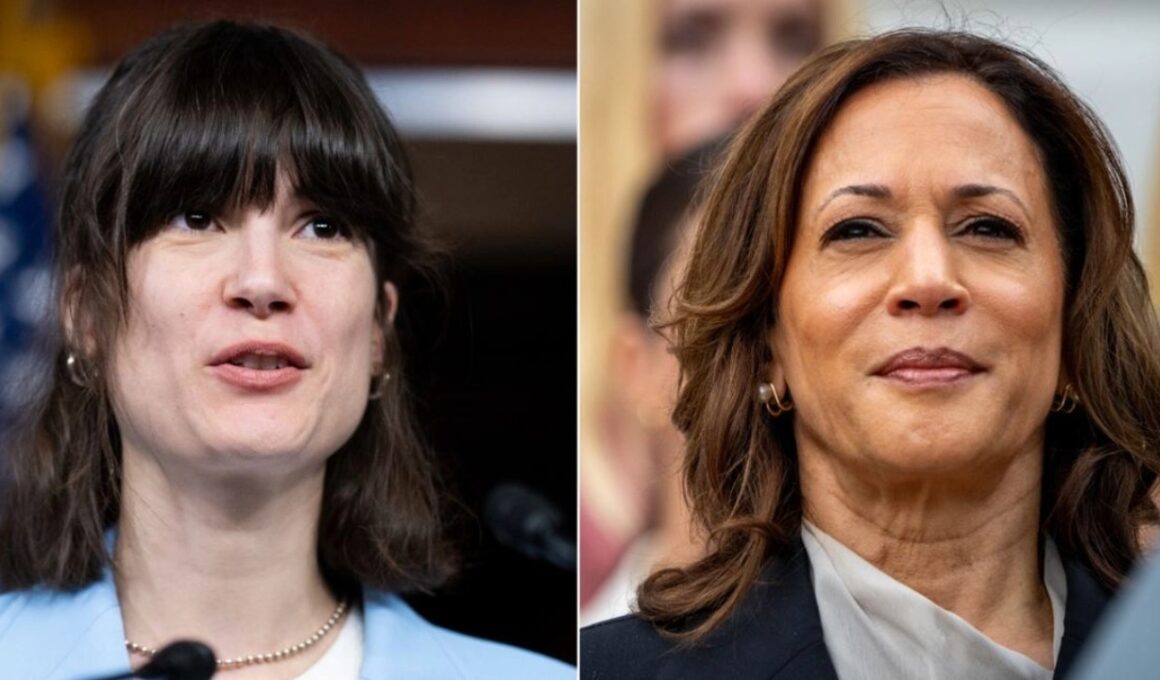 Vulnerable House Dem’s campaign makes stunning admission on potential Harris endorsement: ‘Clear statement’