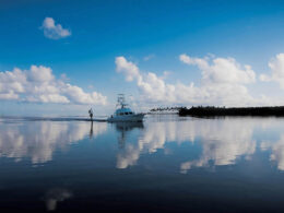 Florida Diver Looks for Lobsters, Finds Suspected Cocaine