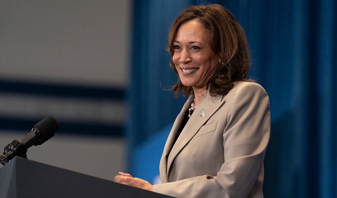 Why now? Media outlets largely quiet on timing of sudden crackdown of Kamala Harris’ ‘border czar’ label