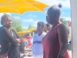 War of words erupts at Canadian water park after woman accuses family of invading cabana she paid for