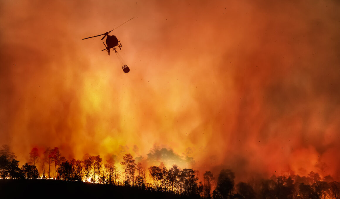 ‘Explosive’ Fire Tornado Seen in Terrifying California Wildfire Footage