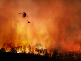 ‘Explosive’ Fire Tornado Seen in Terrifying California Wildfire Footage