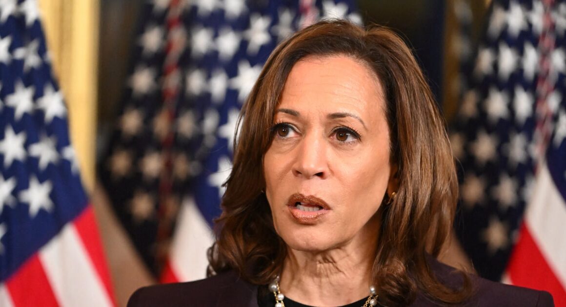 ‘We’re not going back’: Some Never-Trump Republicans embrace Harris’ ‘top cop’ persona