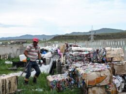 Mongolians fight plastic pollution in vast steppe