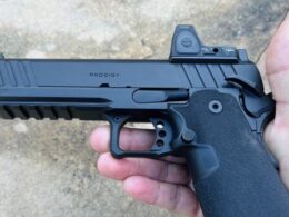 Springfield Armory DS Prodigy: The Working Man’s 2011