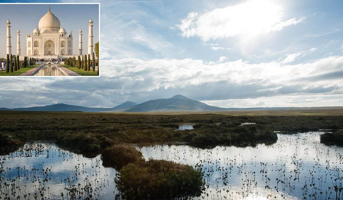 As important as the Taj Mahal, Great Barrier Reef and the Grand Canyon, the Highland peat bog granted World Heritage status