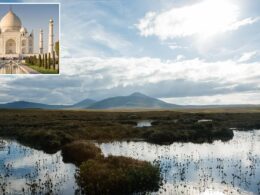 As important as the Taj Mahal, Great Barrier Reef and the Grand Canyon, the Highland peat bog granted World Heritage status