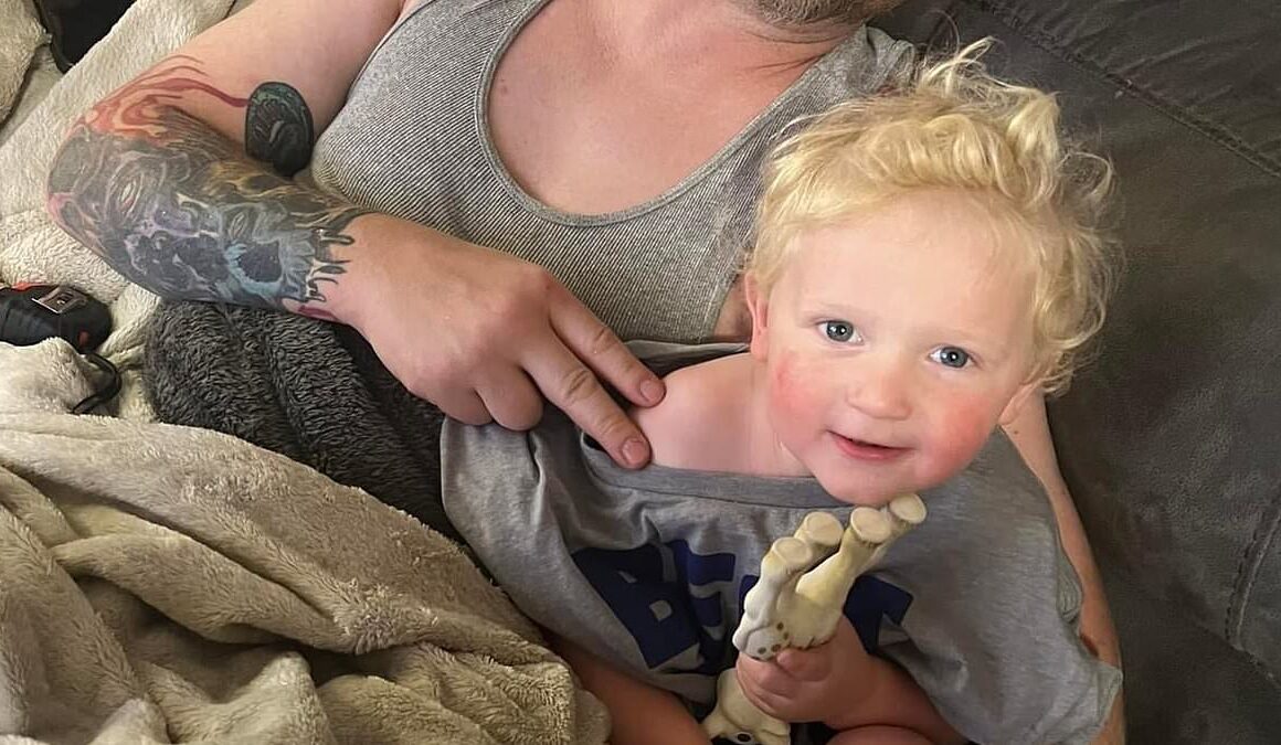 Gruesome new details revealed of dog attack on Minnesota boy, 3, who’s set to be taken off life support – with breed that mauled him so dangerous they’re BANNED elsewhere in the world