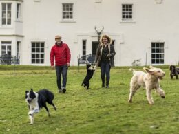 I ditched my London life for a madcap journey to the Hebrides with a rock band… and ended up living the dream as a bona-fide lady of the isles