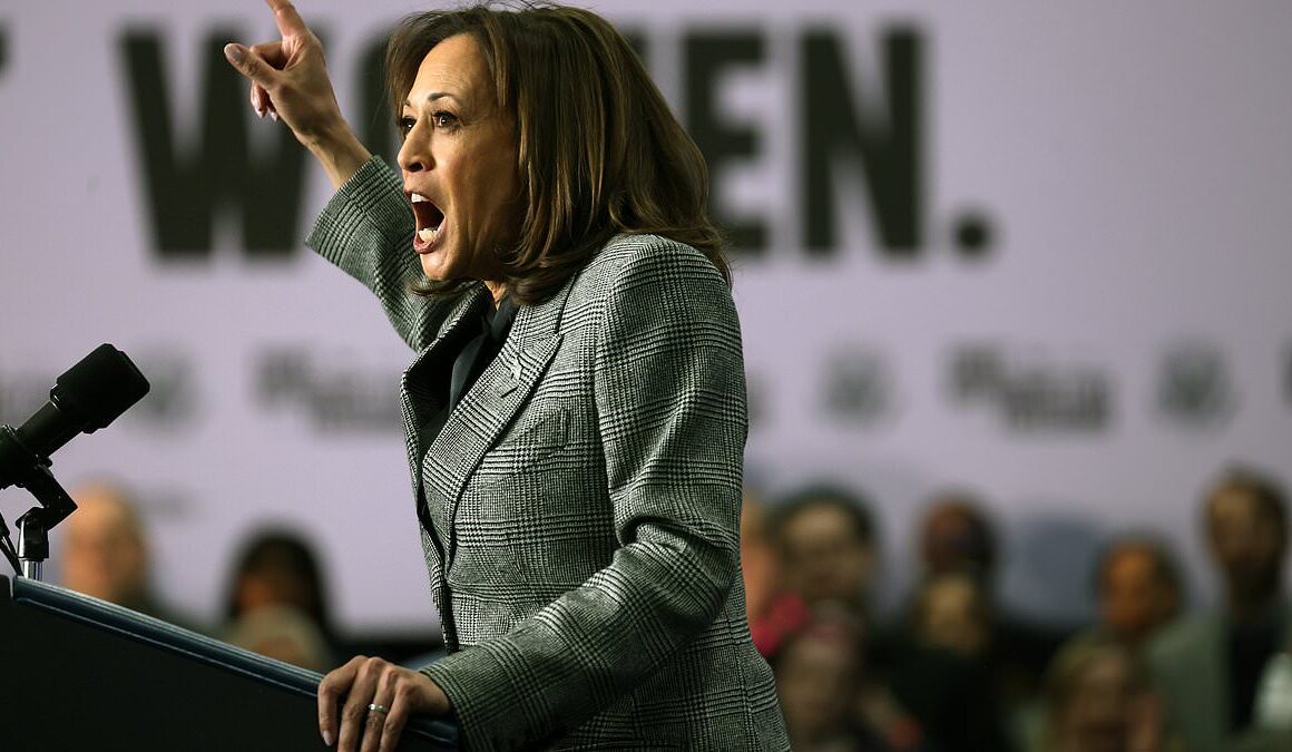 EXCLUSIVEKamala Harris the ‘soul-destroying bully’: Former staff expose shock details of degrading tirades, decades-long ‘toxic’ behavior that left people in TEARS – and saw them quit at unprecedented levels