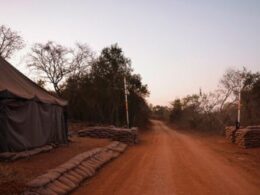 S.African police detain 95 Libyans at suspected military camp