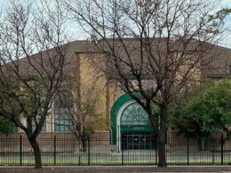 Salt Lake City worker’s terrible mistake killed 200 beloved trees in neighborhood, leaving locals outraged