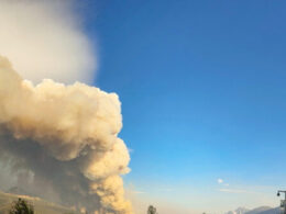 Canada Wildfires Displace Tens of Thousands, Ravage UNESCO Heritage Site