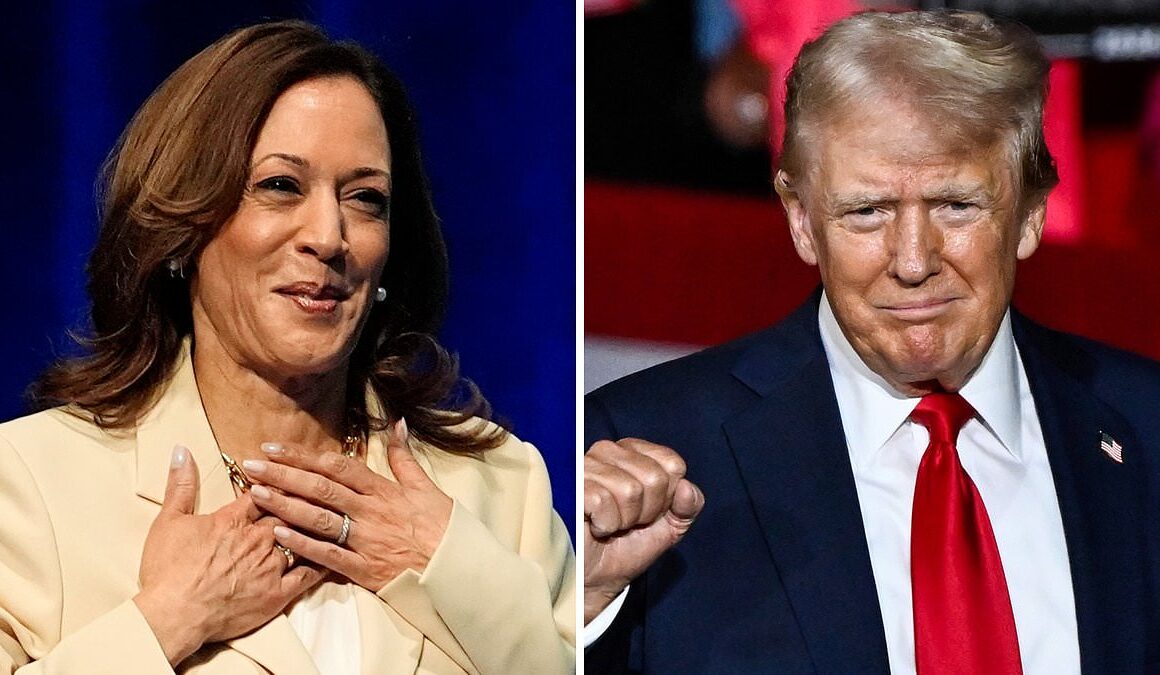 BREAKING NEWSKamala Harris continues incredible surge in battleground states against Donald Trump in newest poll