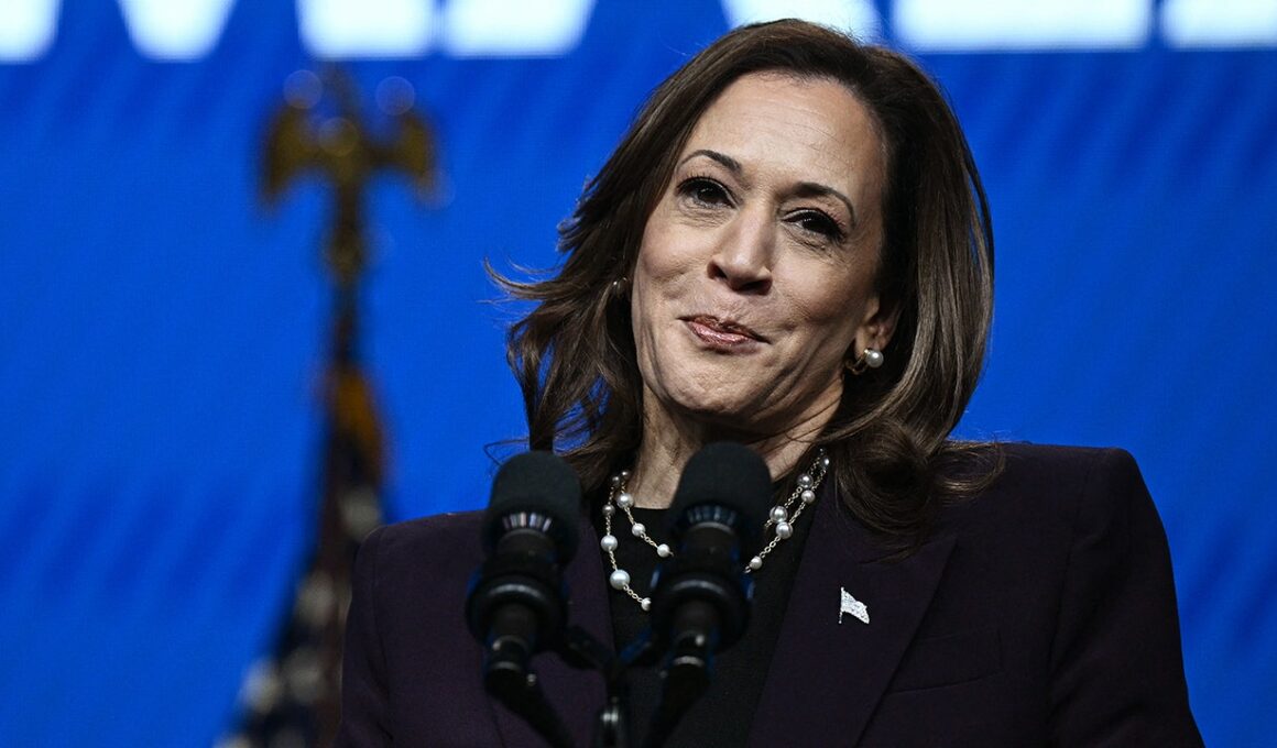 Harris campaign claims she no longer supports fracking ban she touted in 2019: report