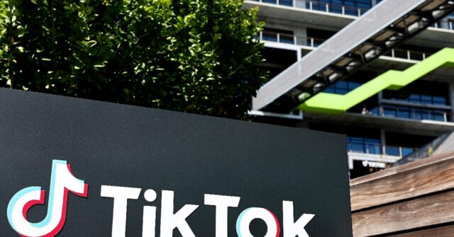 US defends law forcing sale of TikTok app