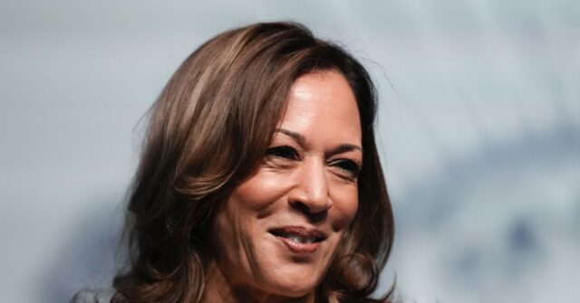 ‘Gen Z feels the Kamalove’: Youth-led progressive groups hope Harris will energize young voters