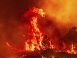 California’s largest wildfire explodes in size as fires rage across US West