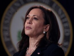 Liberal outlets, Democrats run defense for VP Harris as she continues to solidify nomination support