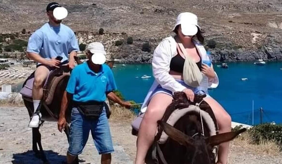 The shocking plight of Greek donkey ‘taxis’: Desperate appeal to end cruel rides in holiday resorts as pictures show animals carrying obese tourists and carting two people at once up steep slope in Rhodes