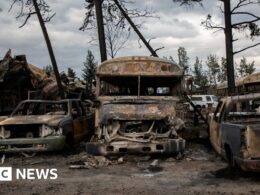 First images of Jasper after 100m high wildfire hit