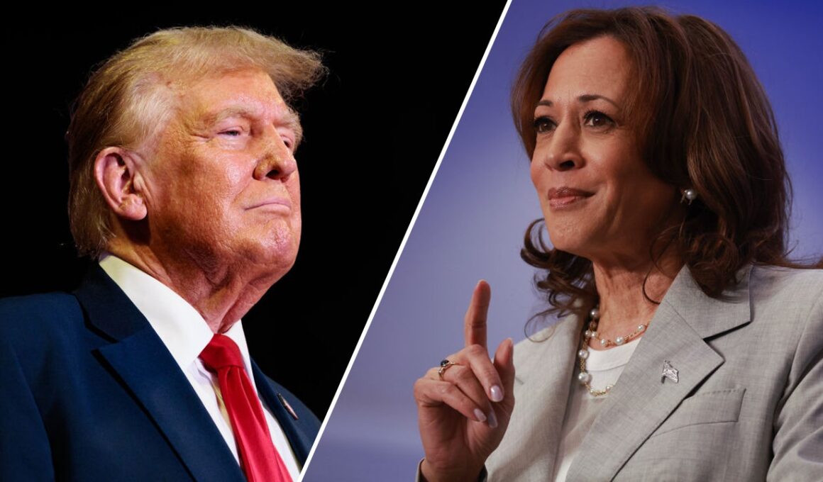 Conservative writer warns Kamala Harris ‘could actually win’ despite being a ‘tragically flawed candidate’