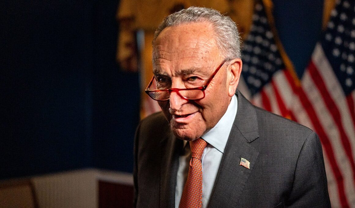 Republicans say Schumer must act on voter proof of citizenship bill if Democrat ‘really cares about democracy’