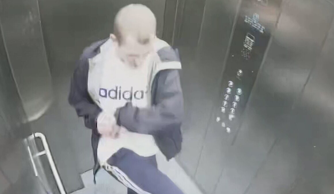 Moment vile bully attacks defenceless puppy in a lift before claiming he was ‘teaching her how to behave’ – as owner, 22, is banned from having animals