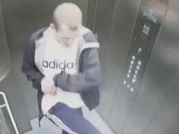 Moment vile bully attacks defenceless puppy in a lift before claiming he was ‘teaching her how to behave’ – as owner, 22, is banned from having animals