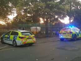 Locals are ‘scared’ to send their children to east London park where man, in his 20s, was stabbed to death during ‘fight’ that left two others injured